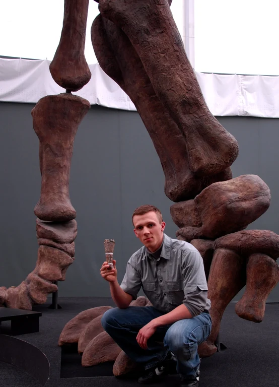 Magyarosaurus presse 1.JPG