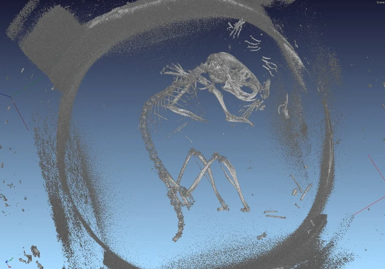 Computertomografische Aufnahme