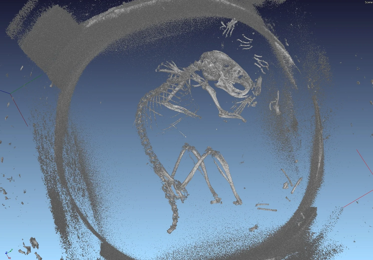 Computertomografische Aufnahme