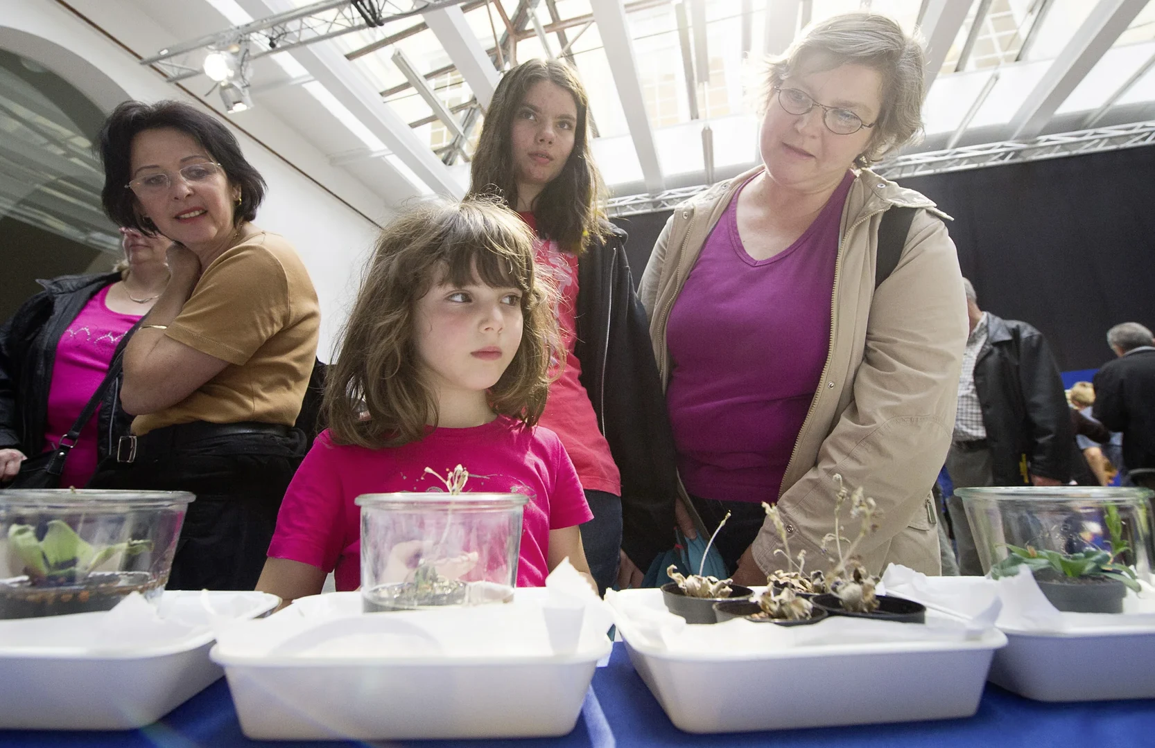 Interessiertes Publikum: