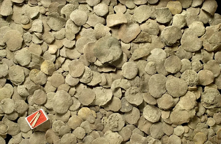 Fossile Foraminiferensande