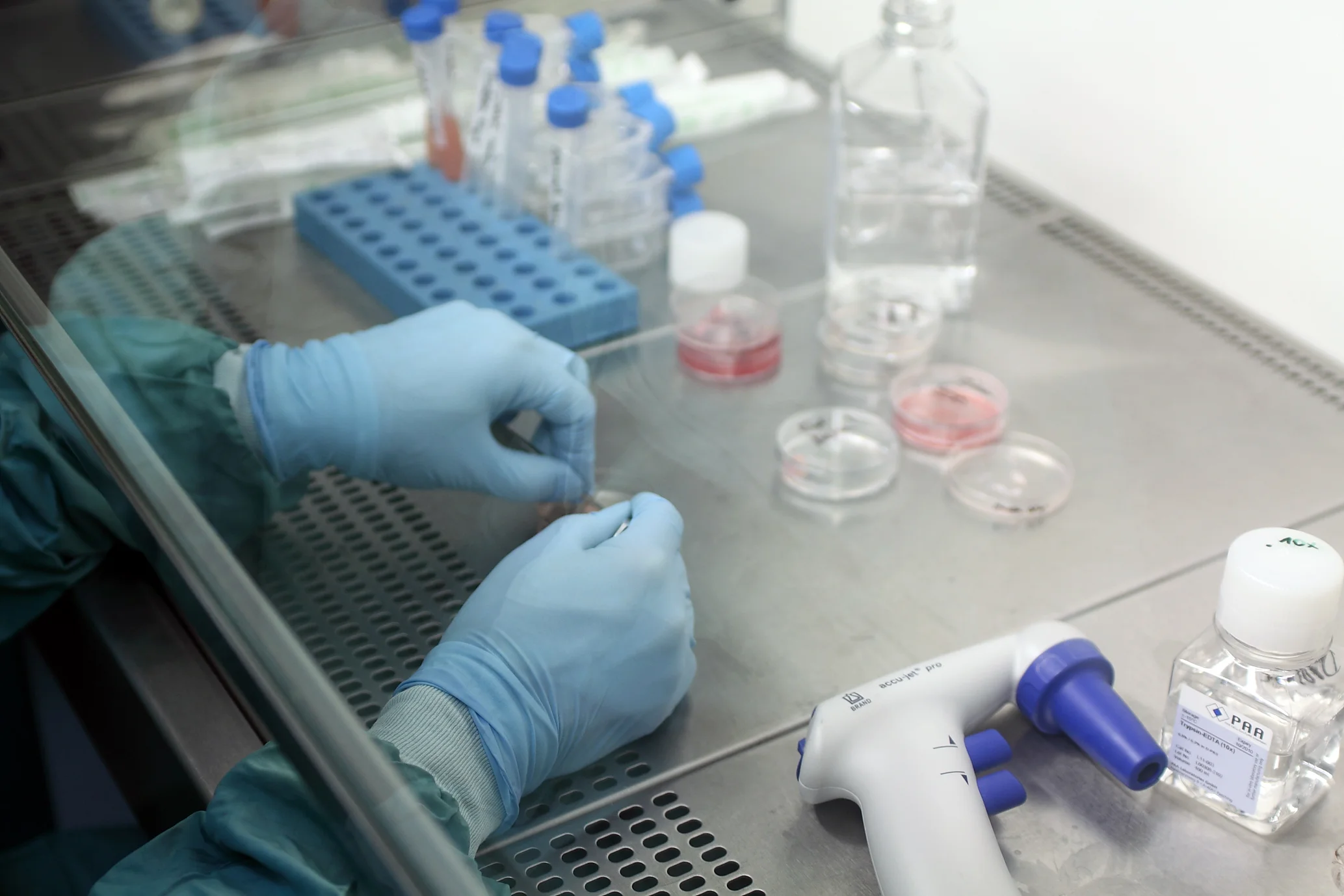 An der Werkbank im Labor: