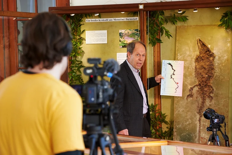 Das Krokodil aus der Grube Messel