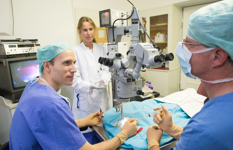 Am Operations-Mikroskop: