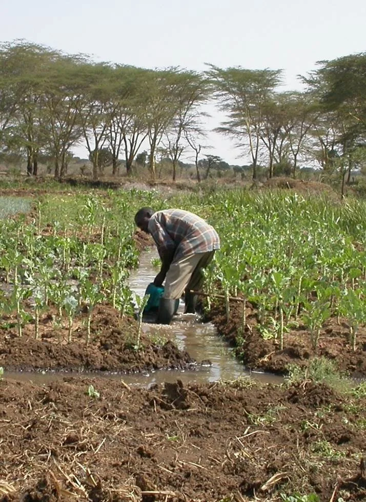 Ewaso Narok Sumpf in Kenia: