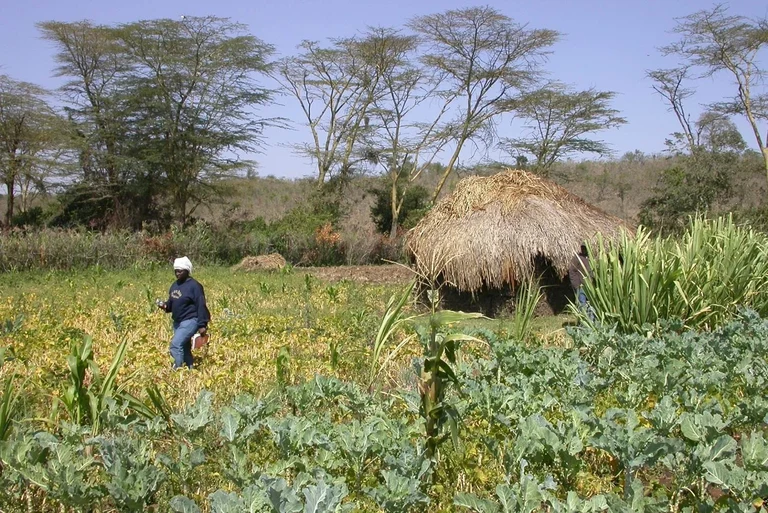 Pangani-Ebene in Tansania: