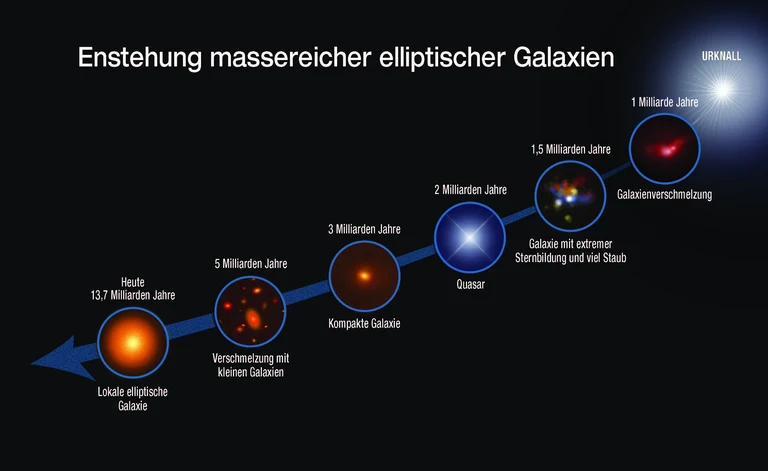 Die Grafik zeigt die evolutionäre Sequenz
