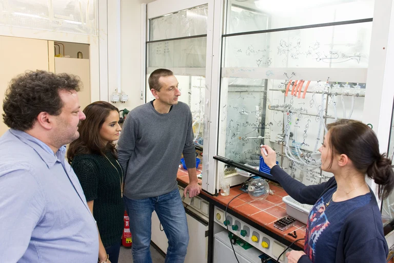 Suchen nach günstigeren und effizienteren Metallkomplexen für Katalysatoren: