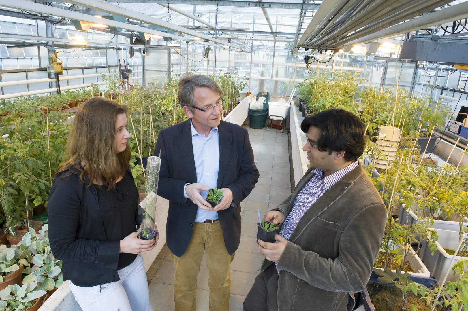 Erforschen die Tricks parasitischer Fadenwürmer: