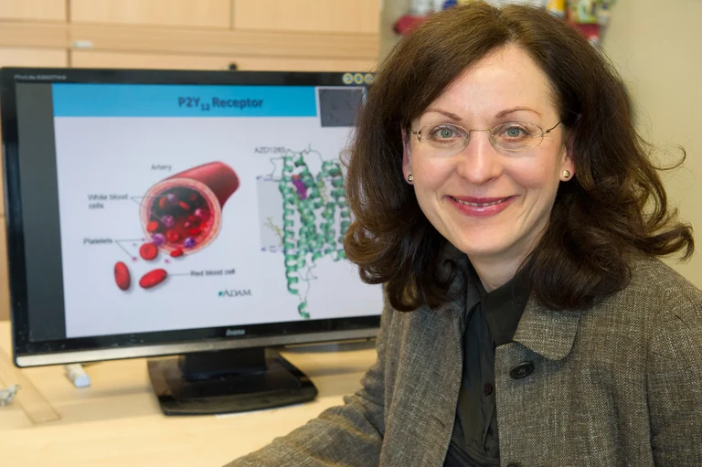 Prof. Dr. Christa E. Müller