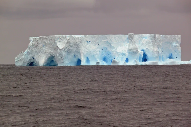 Eisberg im Scotiameer,