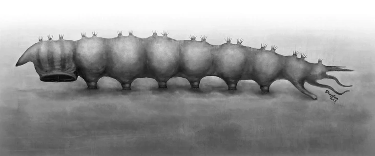 Ungewöhnlicher Parasit: