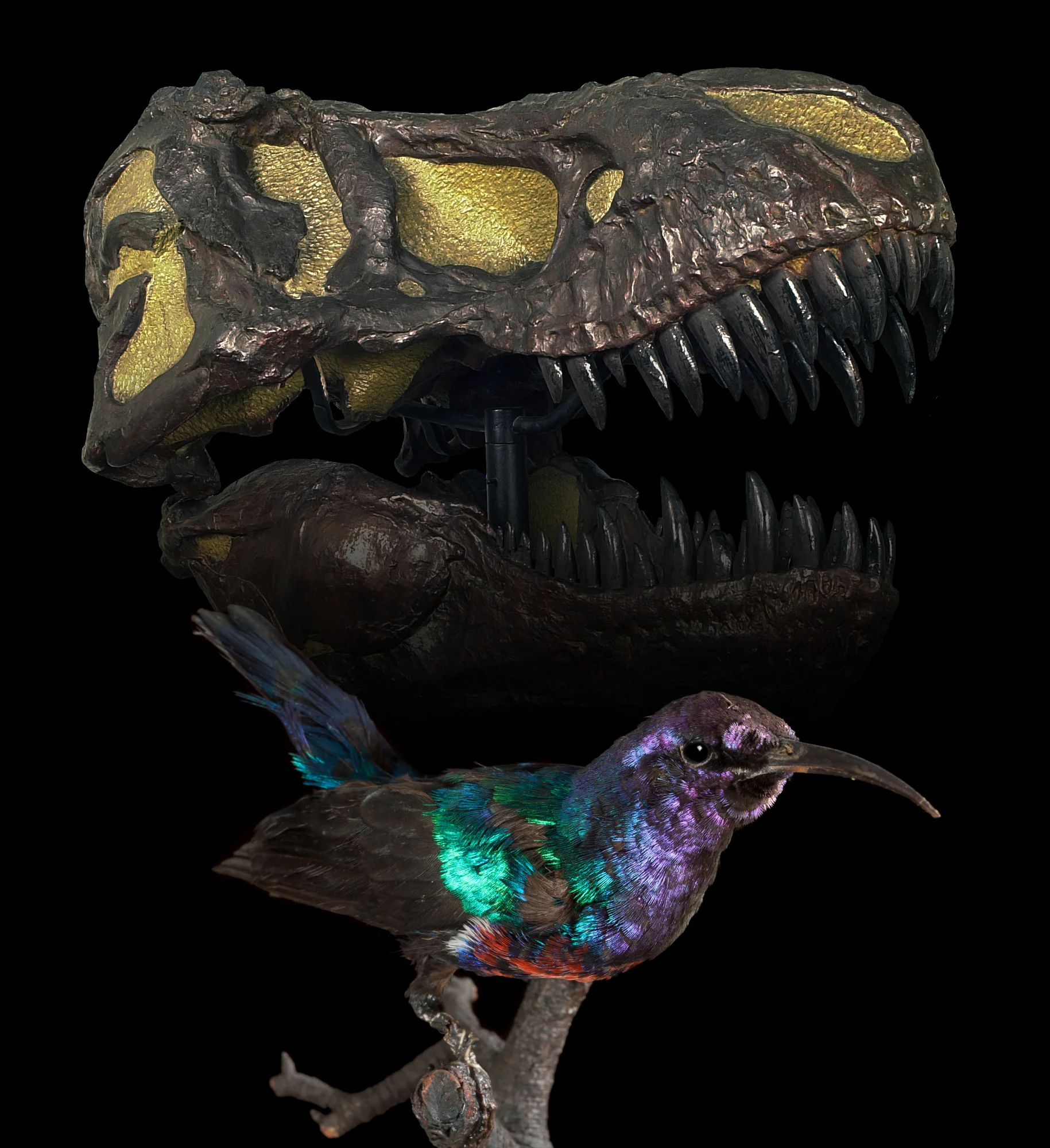 Einen größeren Kontrast