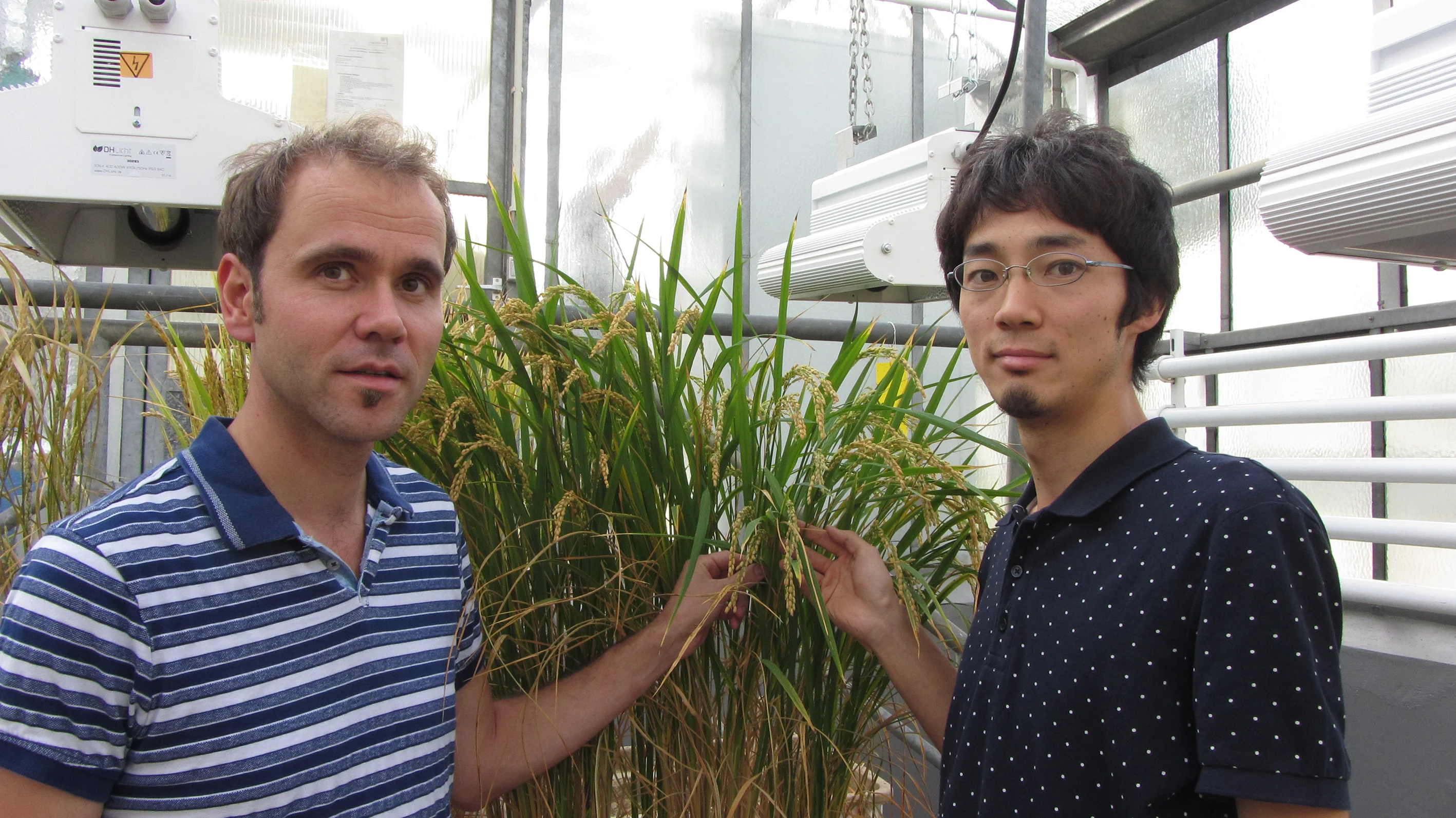 Untersuchten die Stresstoleranz