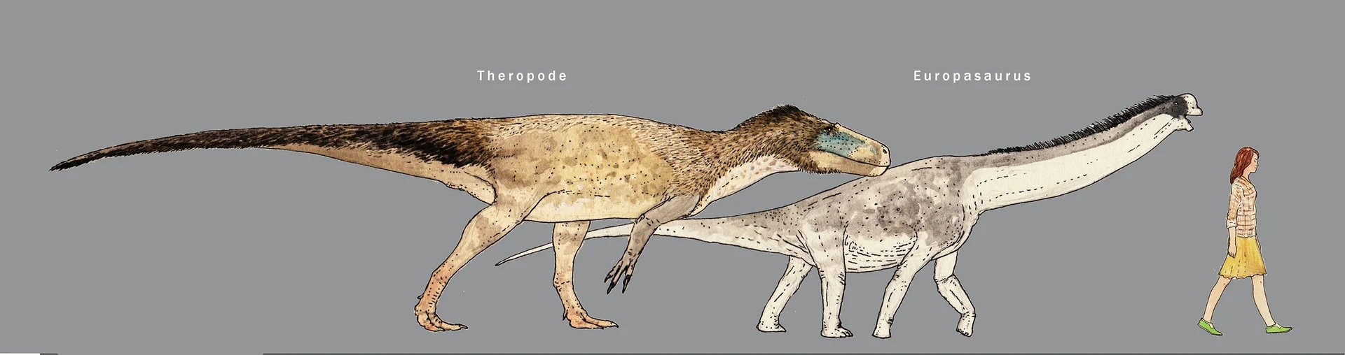 Größenvergleich eines Menschen