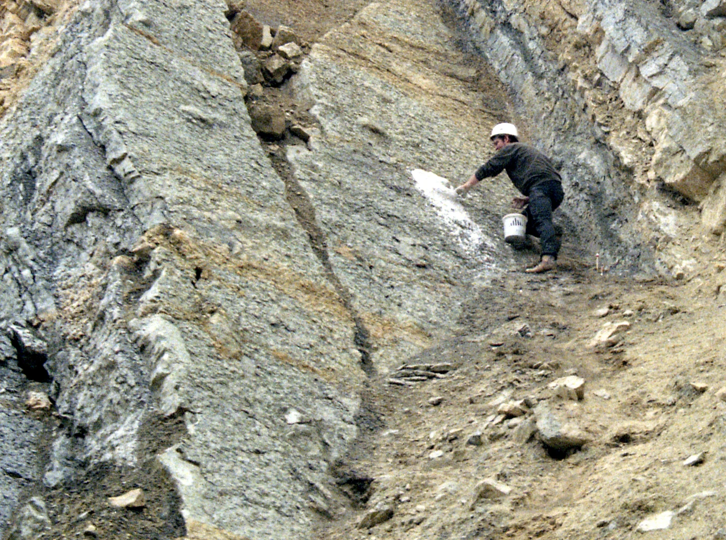 Nils Knötschke vom Dinopark Münchehagen