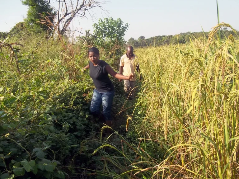 Im Untersuchungsgebiet: