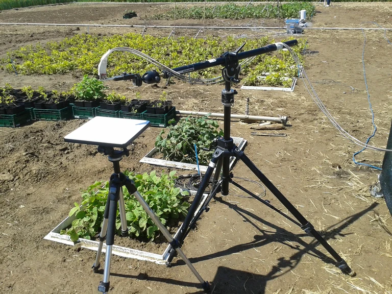 Das Bild zeigt Hyperspektralmessungen an Pflanzen: