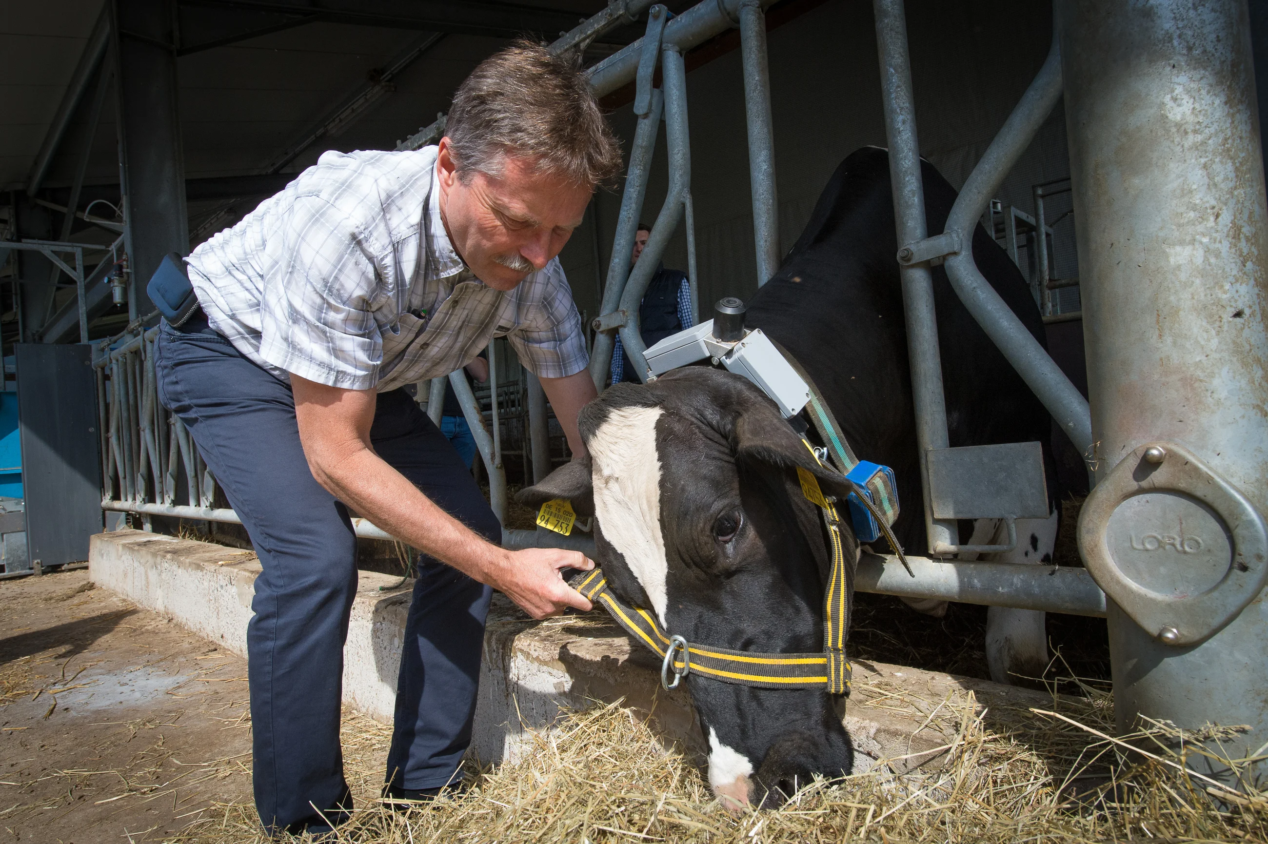 Prof. Dr. Wolfgang Büscher