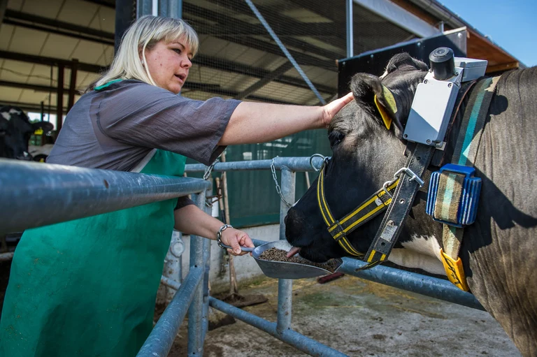 Tierärztin Dr. Susanne Plattes
