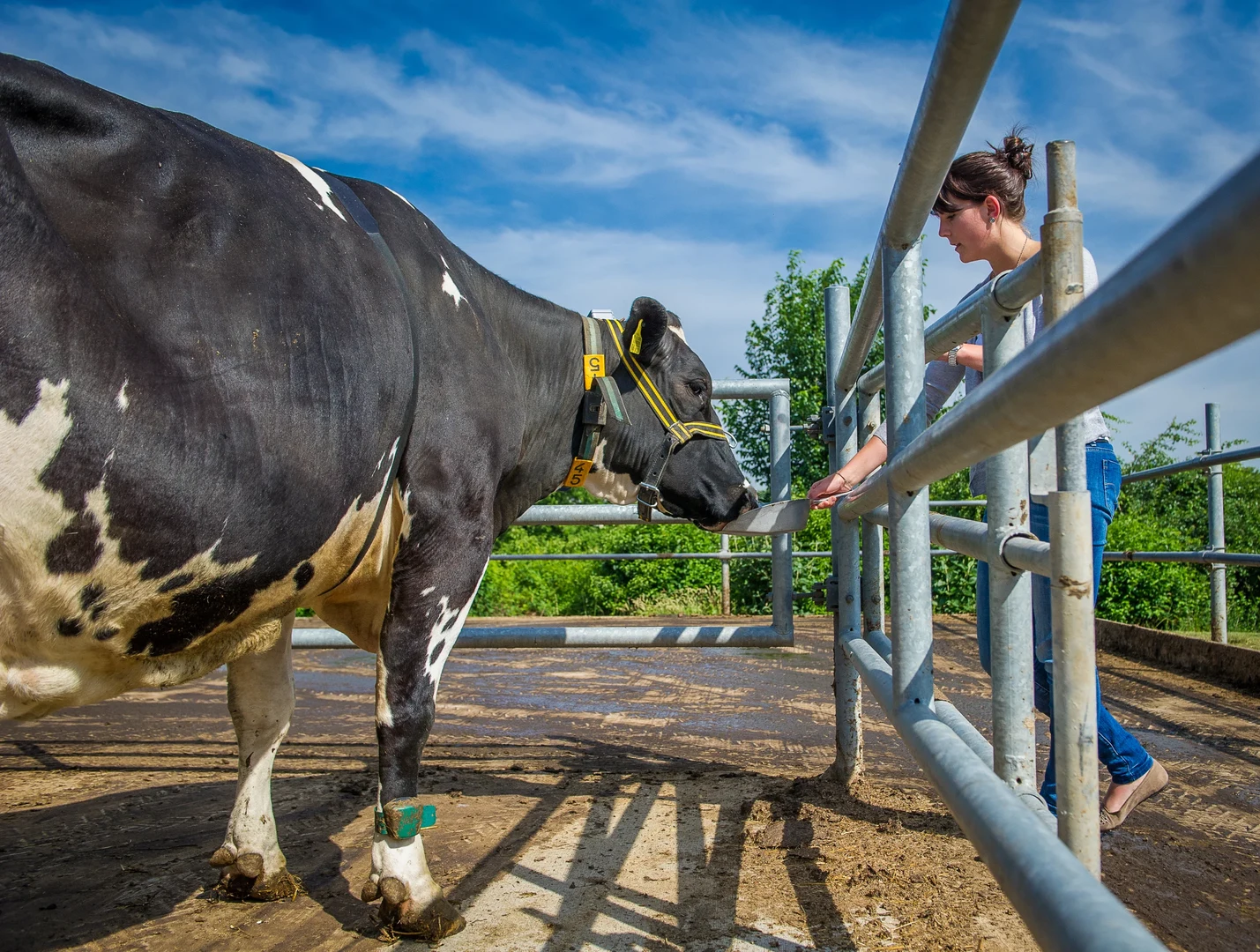 Tierärztin Johanna Zillner