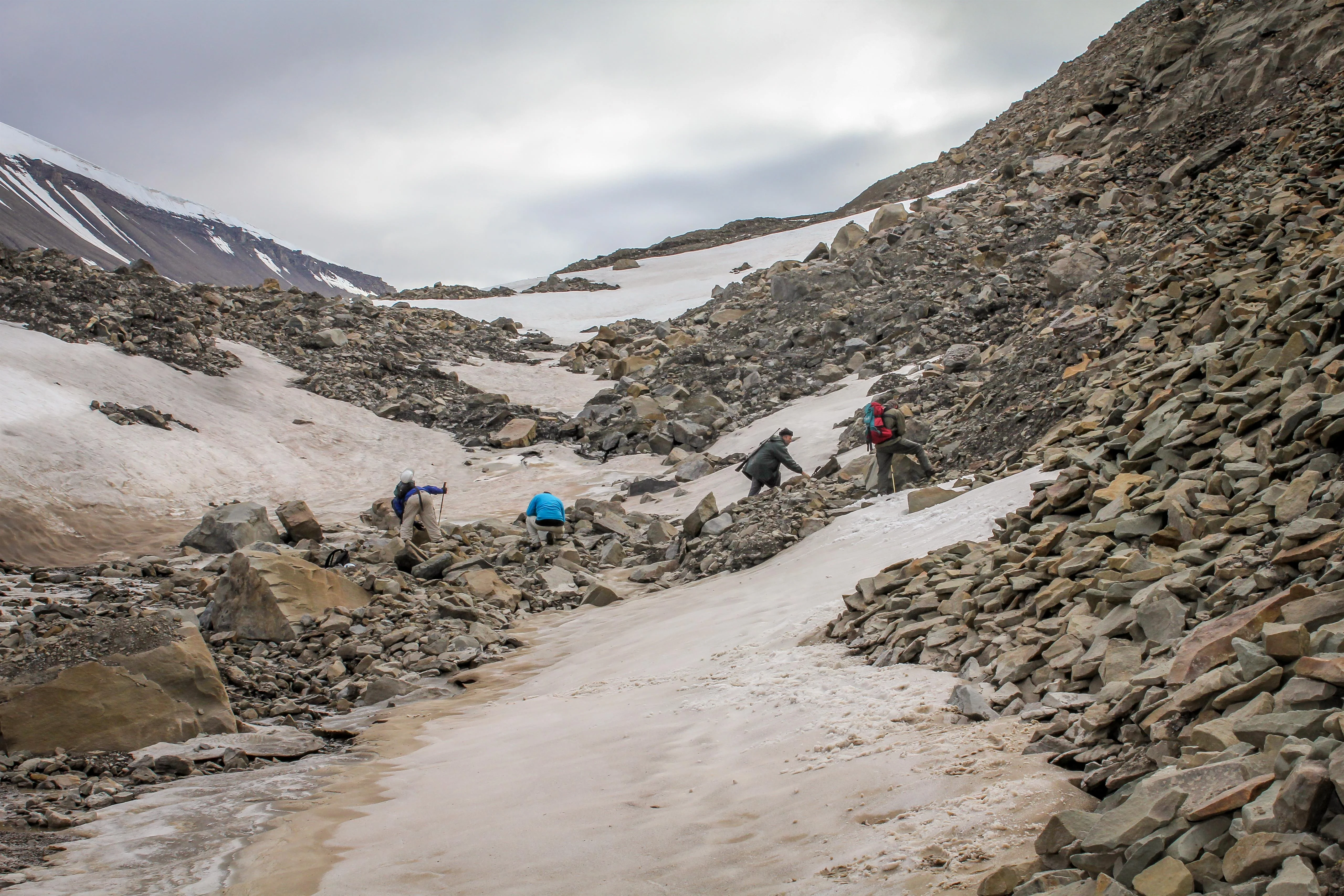 Fossiliensuchen in der Seiten-Moräne des Longyearbyen-Gletschers.