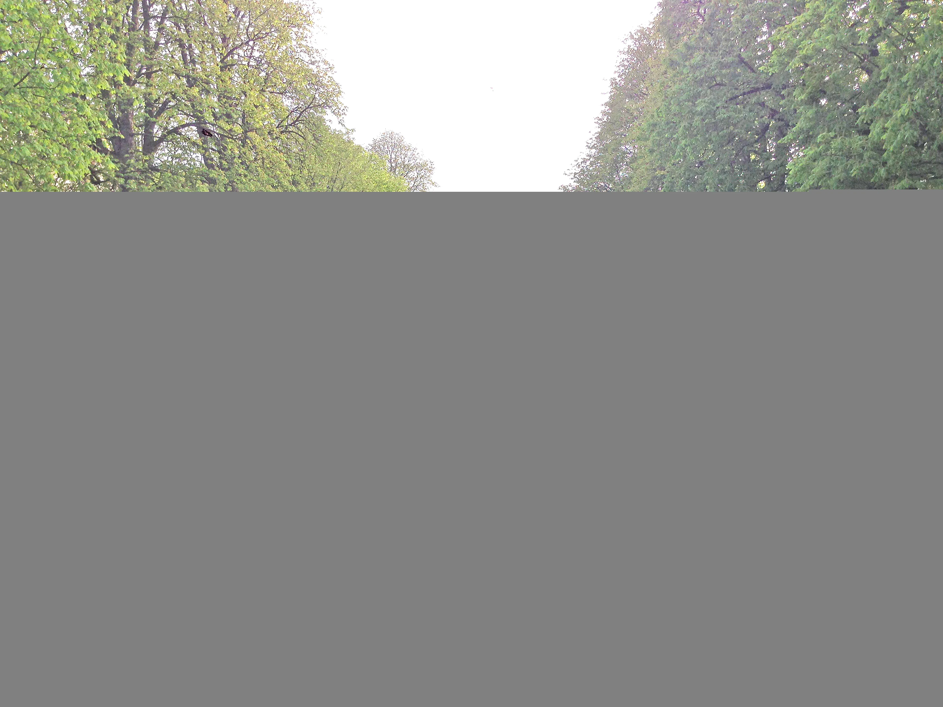 Kindertraining bei den Flying-Juggmen: