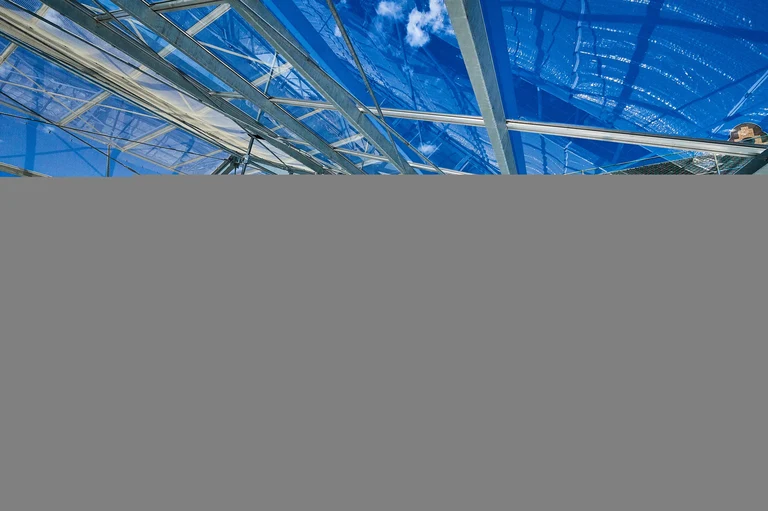 Automatische Beschattung: