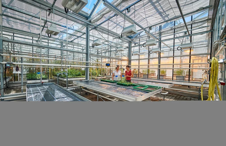 Blick in eine „Kabine“: