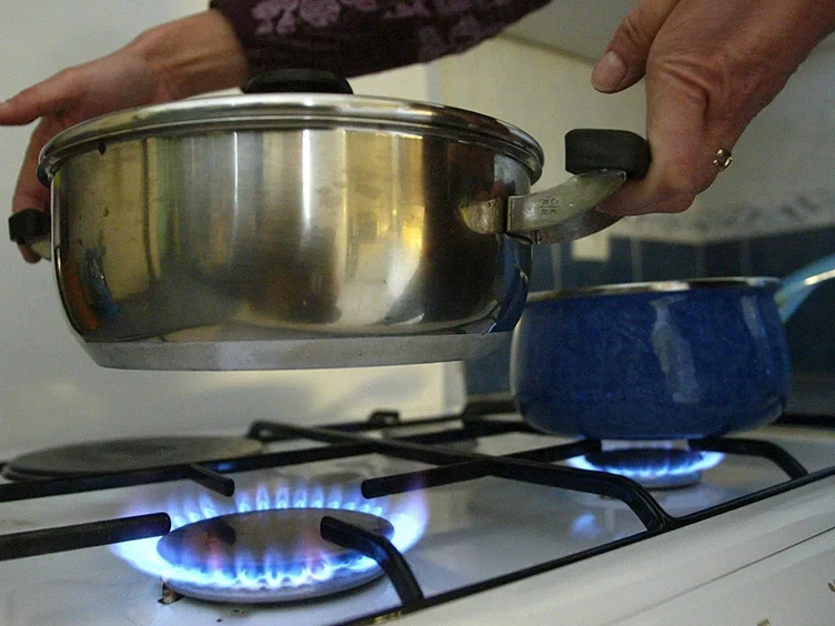 Wie häufig wird gekocht?