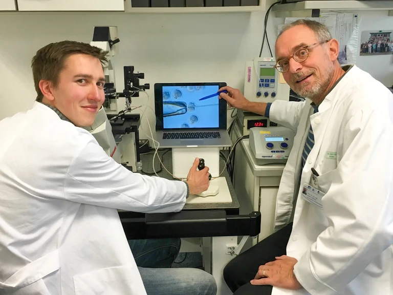 Injektion der CRISPR-Cas9-Genschere in Eizellen der Maus