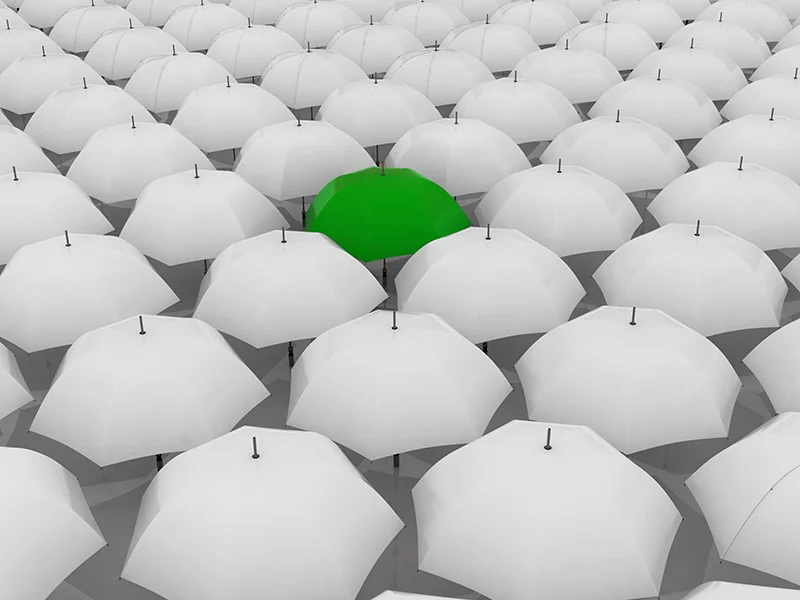 Geförderte Projekt „TRANSLATE NAMSE“