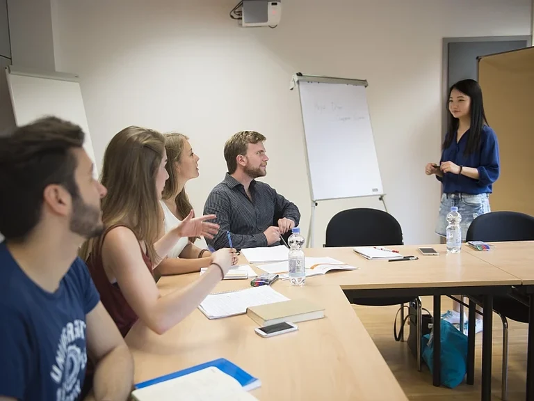 Professionelle Lehrkompetenz