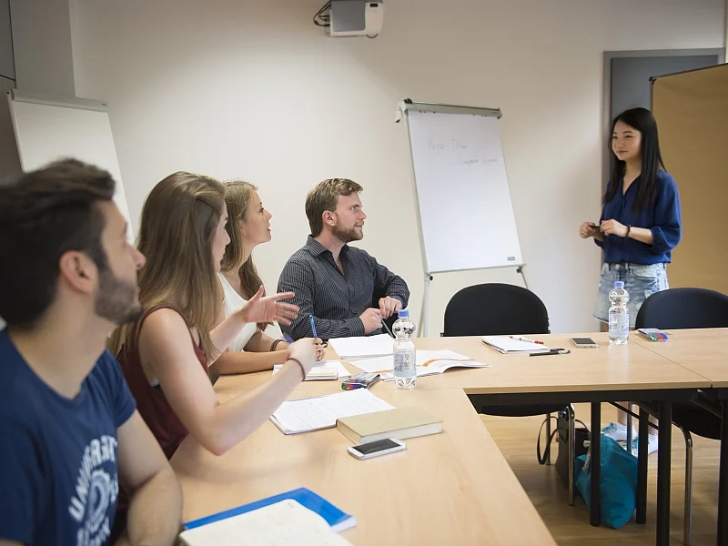 Professionelle Lehrkompetenz