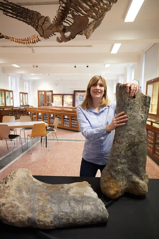 Die Paläontologin Jessica Mitchell