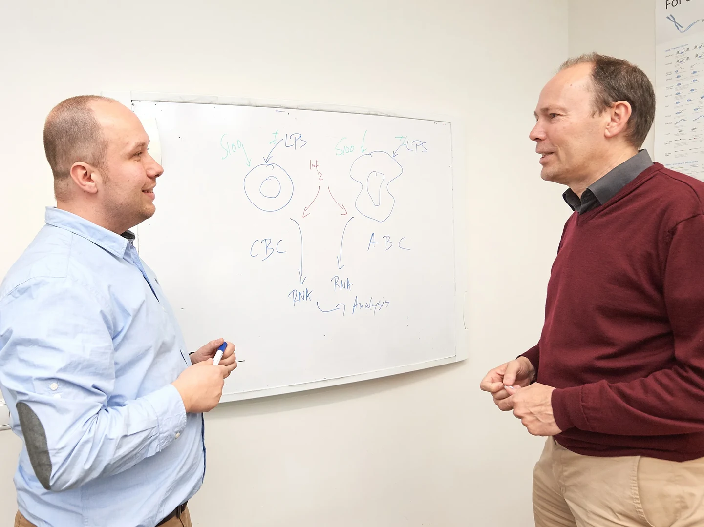 Diskutieren über Ergebnisse: