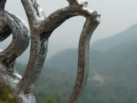Blick durch den schmiedeeisernen Zaun