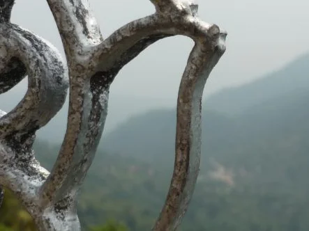 Blick durch den schmiedeeisernen Zaun