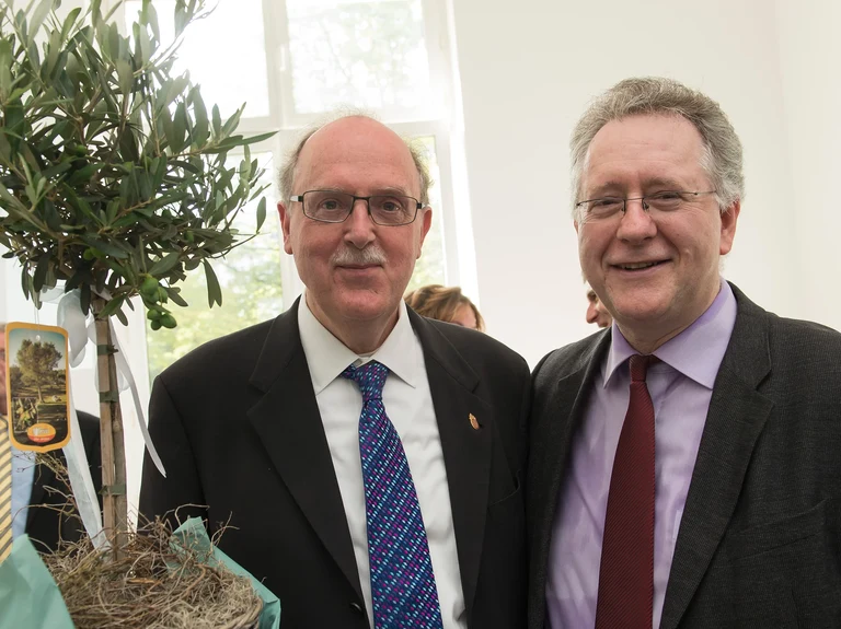 Ein Olivenbaum als Geschenk: