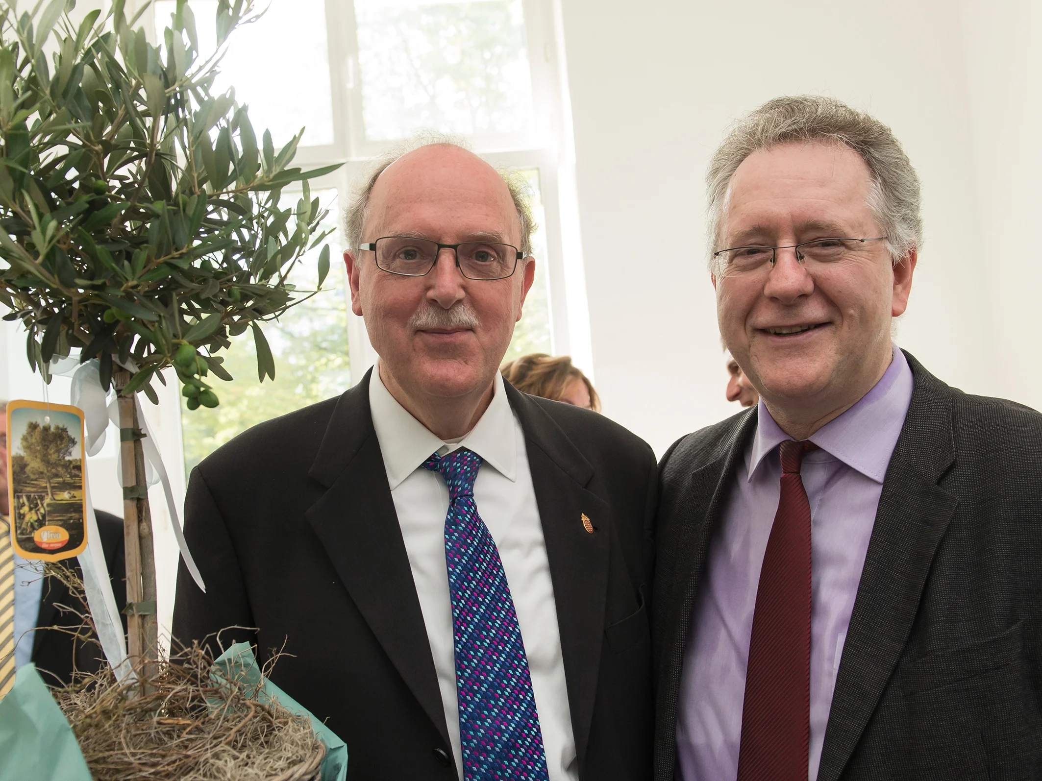 Ein Olivenbaum als Geschenk: