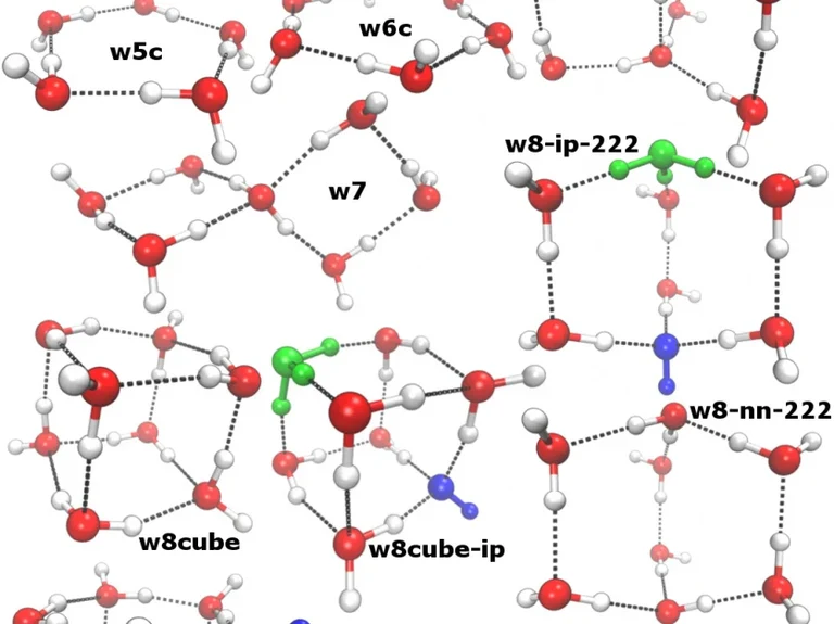 Die Wissenschaftler berechneten die Häufigkeit