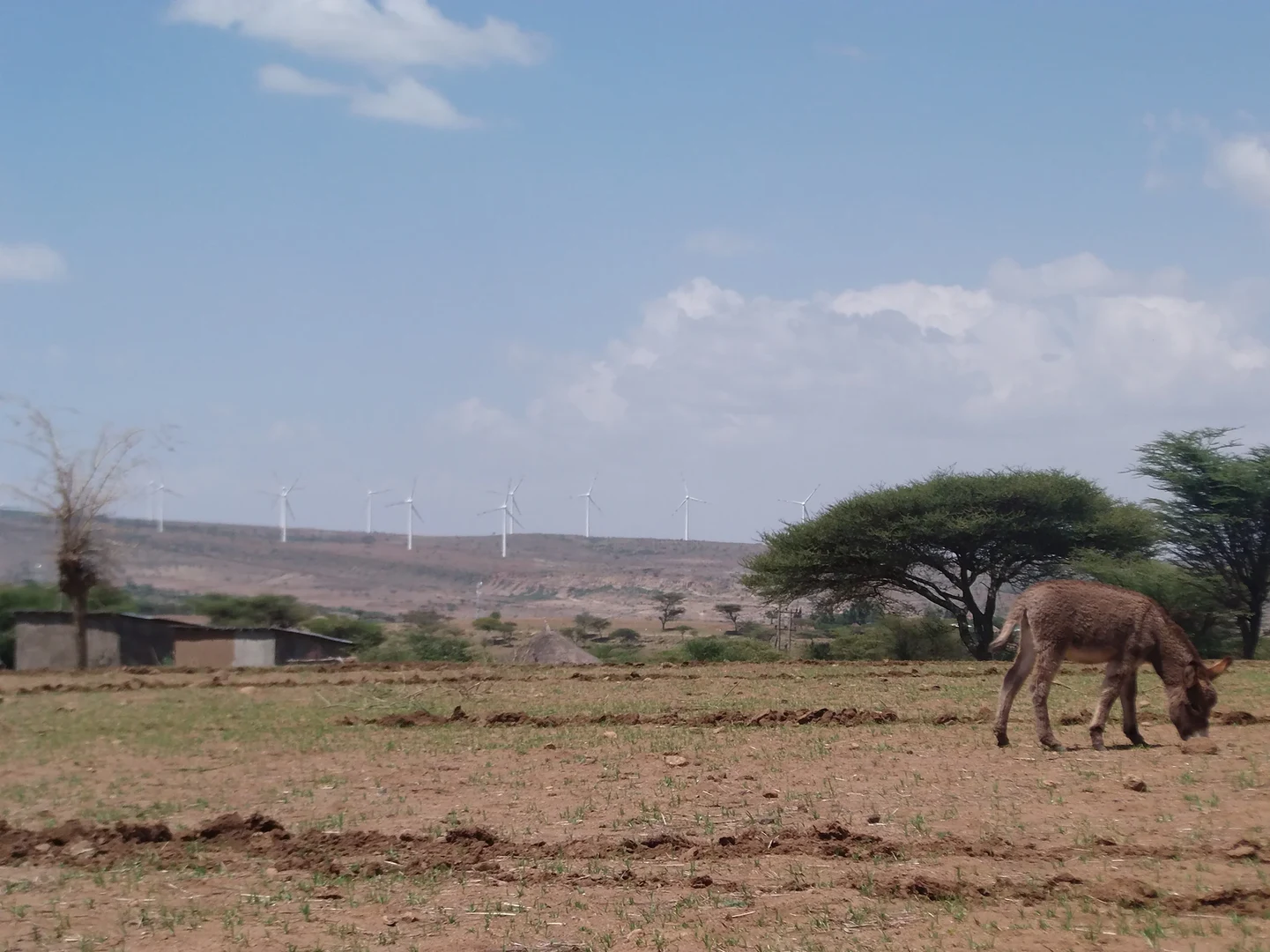 Mit der Zukunft der Landwirtschaft,