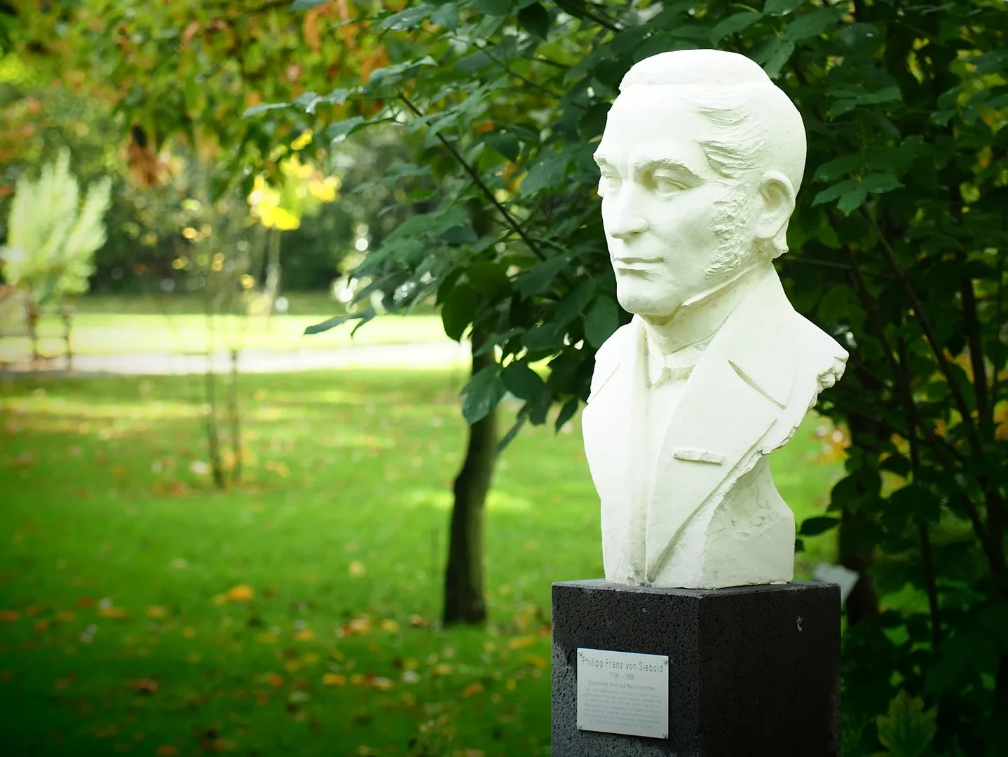 Philipp Franz von Siebold