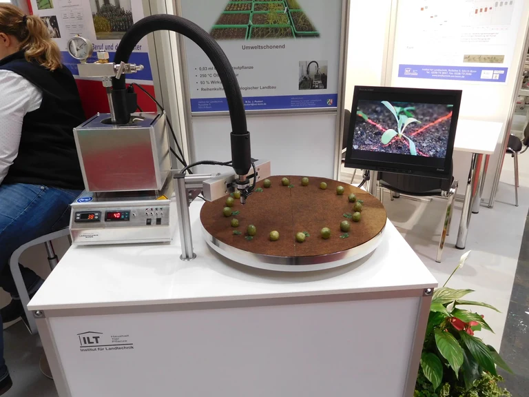 Drei Tropfen Pflanzenöl vertreiben das Unkraut