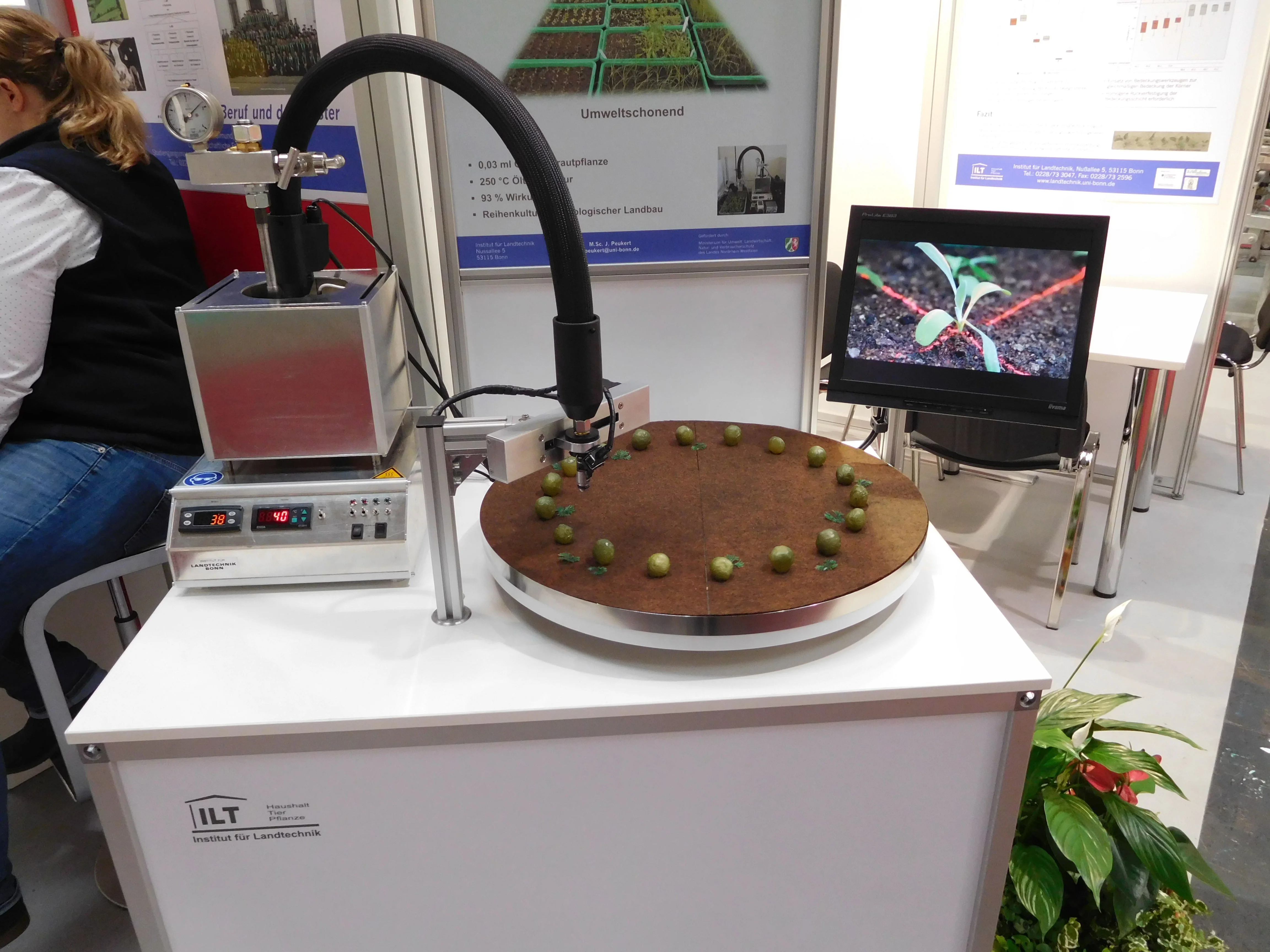 Drei Tropfen Pflanzenöl vertreiben das Unkraut