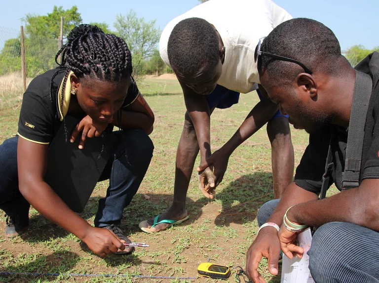 Das Westafrikanische Zentrum für nachhaltige ländliche Transformation
