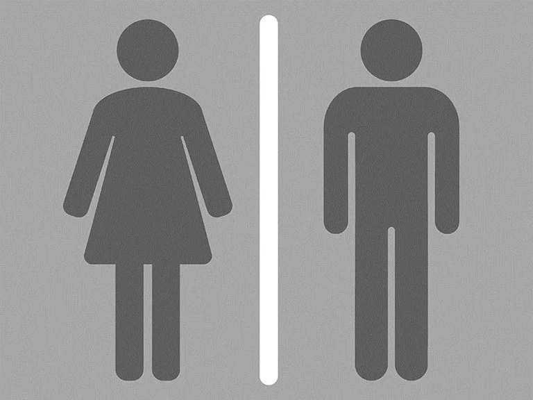 Weg zu sauberen Schultoiletten in der WHO Region Europa: