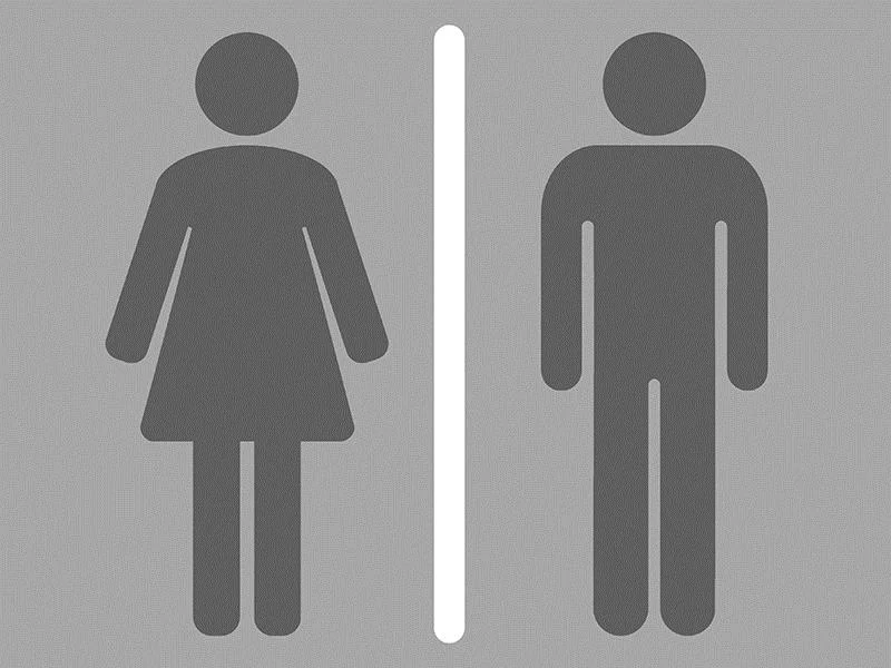 Weg zu sauberen Schultoiletten in der WHO Region Europa: