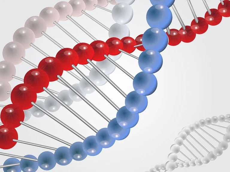 Die Universität Bonn