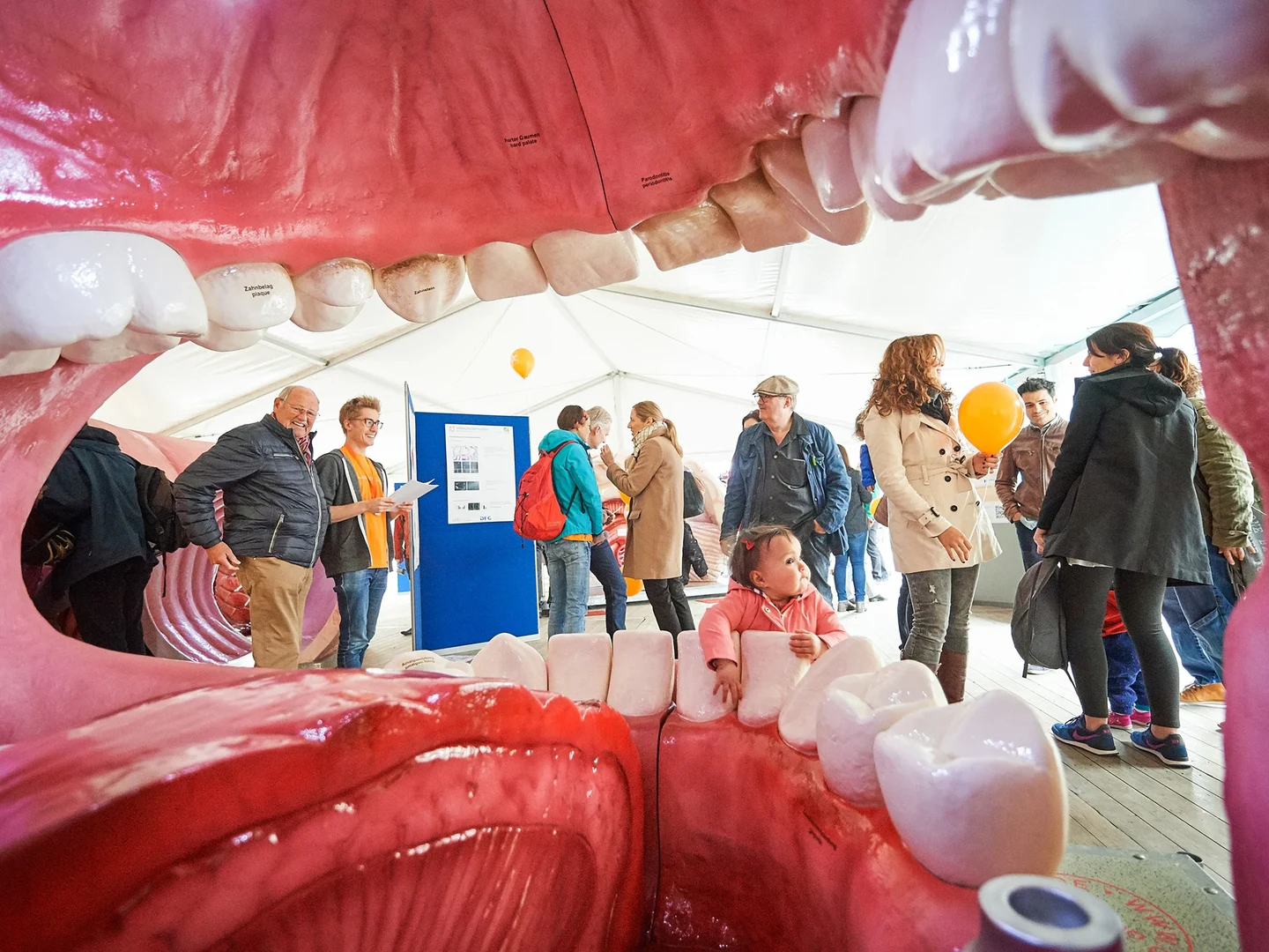 Begehbares Modell einer Mundhöhle: